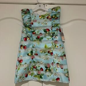 Pastourelle Pippa & Julie 6 pale blue strawberry printed lined dress nwt